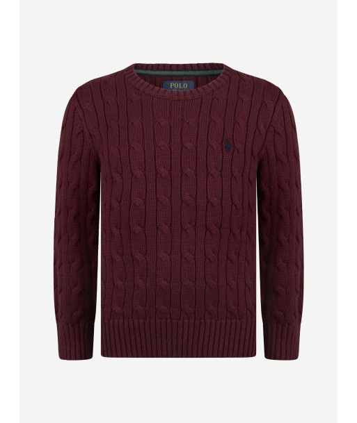 Ralph Lauren Boys Jumper acheter en ligne