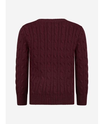 Ralph Lauren Boys Jumper acheter en ligne