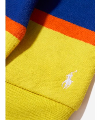 Ralph Lauren Boys Striped Polo Hoodie in Multicolour commande en ligne