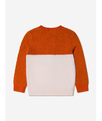 Stella McCartney Boys Fox Knitted Jumper les muscles